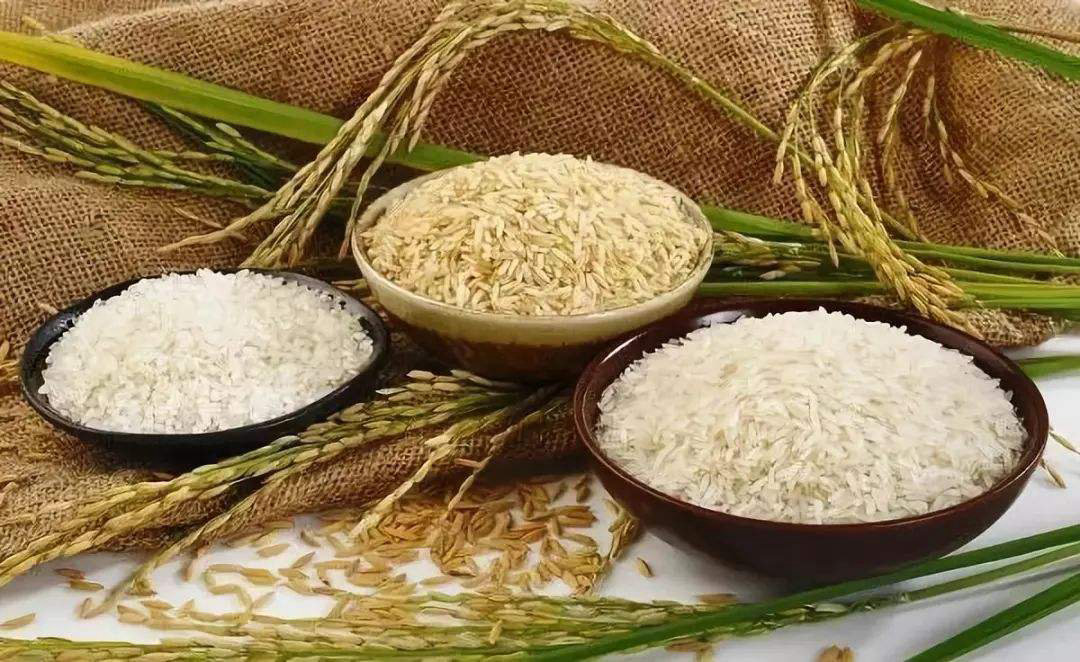 吃米饭会胖吗 其实是你吃错了，吃米饭也能减肥！
