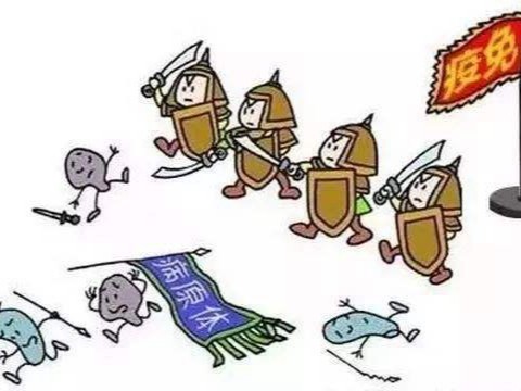 疫情结束以后什么比较赚钱 行业重洗牌